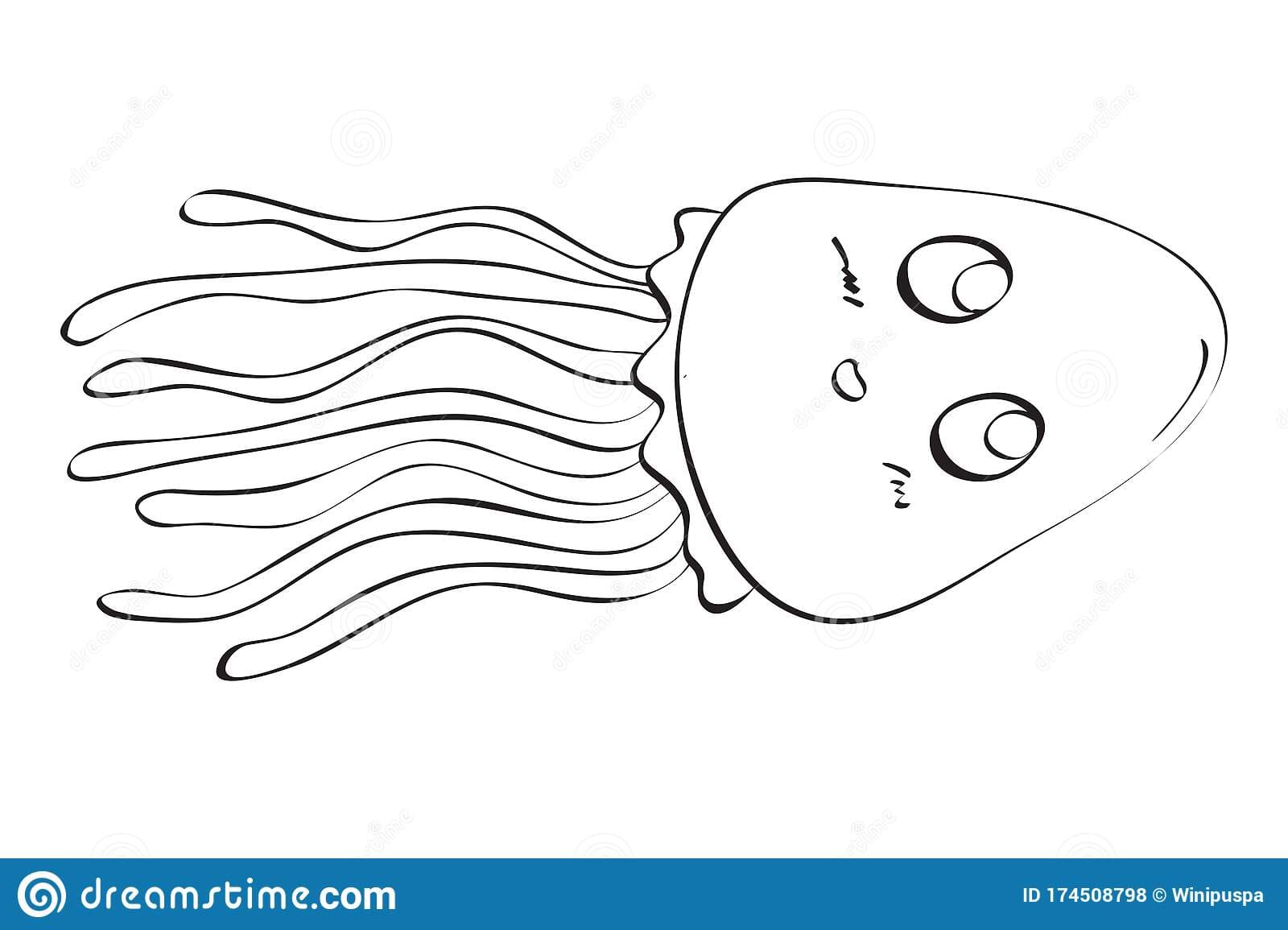 Coloring Squid Cute Coloring Page