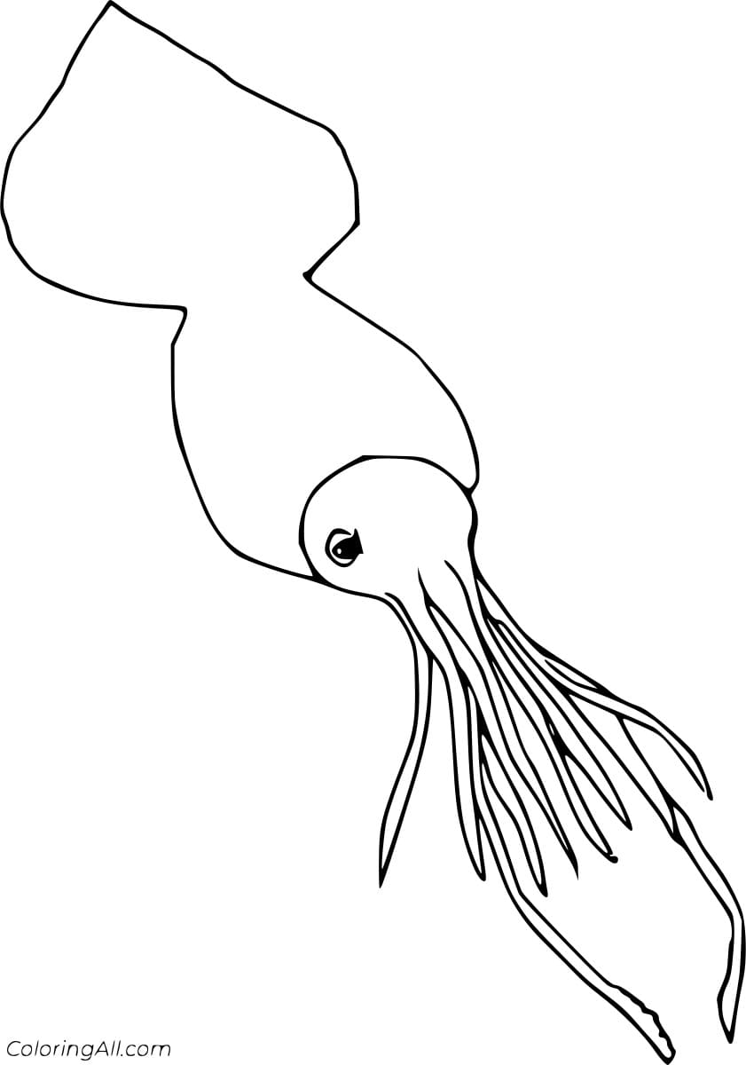 Colossal Squid Free Printable Coloring Page