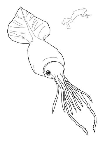 Colossal Squid and Scuba Free Printable Coloring Page