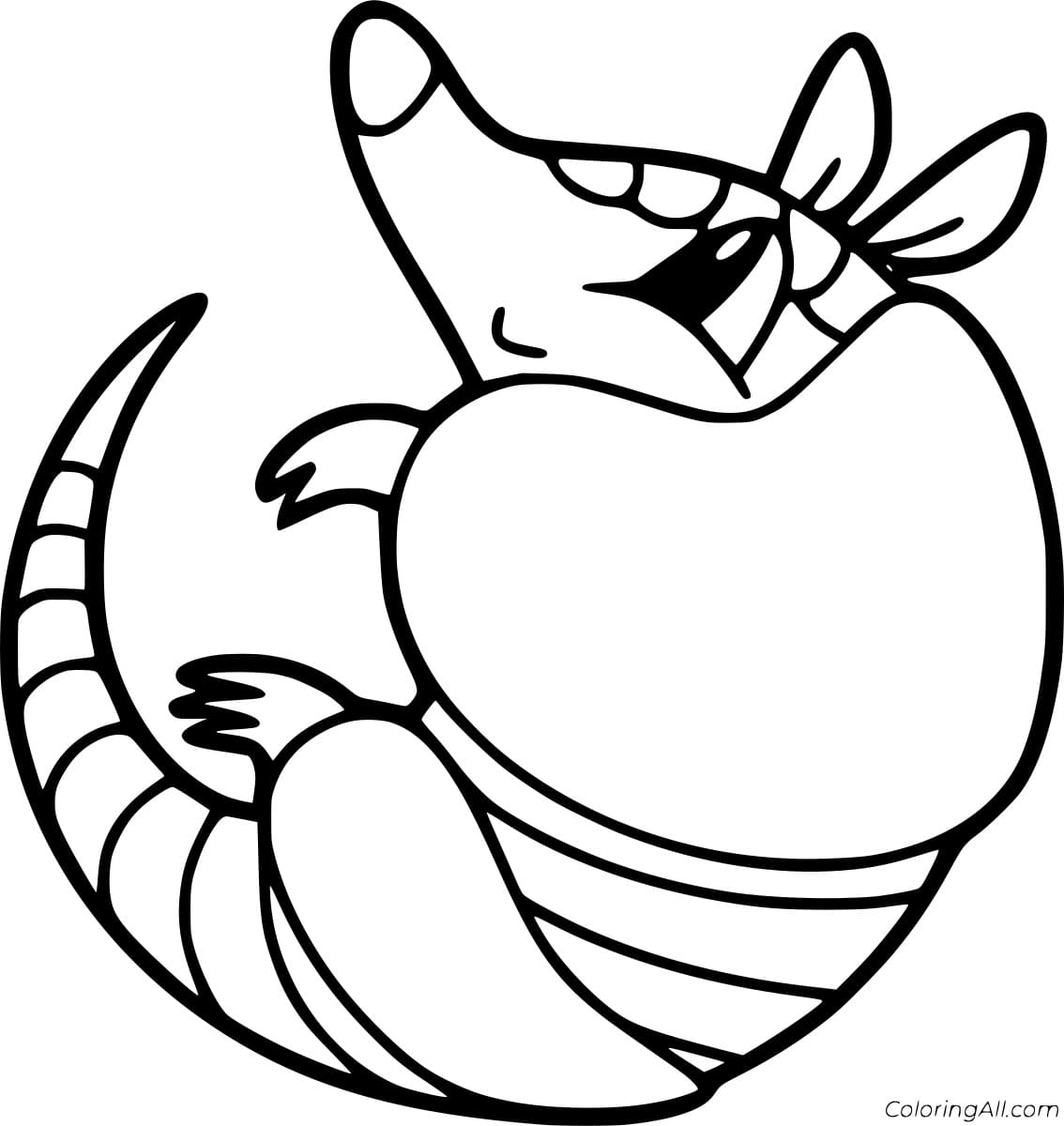Cute Armadillo To Print Coloring Page