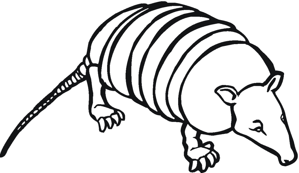 Cute Armadillo To Print