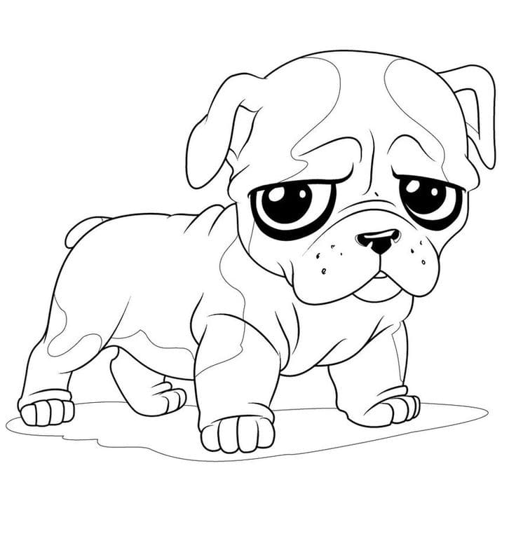 Cute Baby Puppy Coloring Pages Coloring Page
