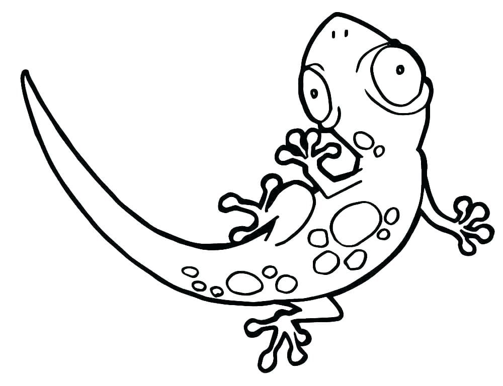 Cute Big Eyed Gecko Free Coloring Page