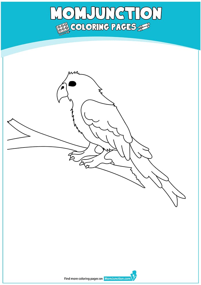 Coloring of Parrot Printable Coloring Page