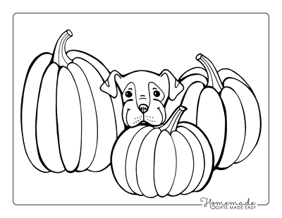 Cute Dog in Pumpkin Patch Coloring Page Coloring Page