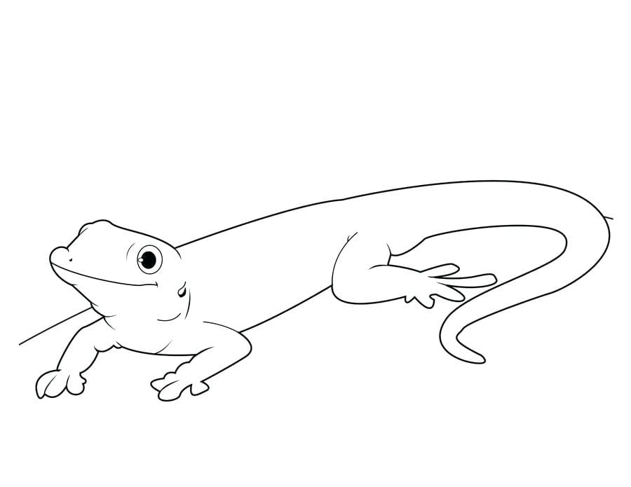 Cute Gecko Line Art for Coloring Coloring Page