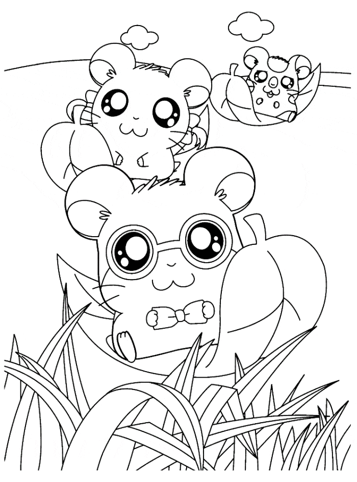 Cute Hamster Coloring Free Printable Coloring Page