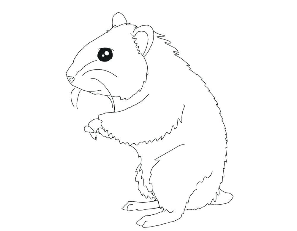 Cute Hamster Free Coloring Page