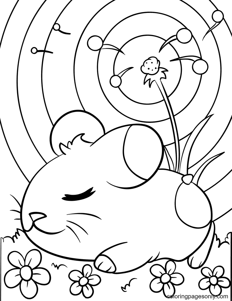 Cute Hamster Guinea Pig Coloring Page