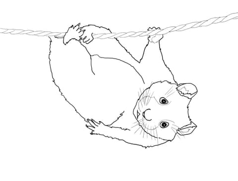 Cute Hamster Hanging On A Rope Coloring Page