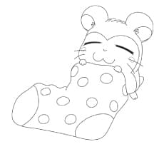 Cute Hamster In A Sock Printable Coloring Page