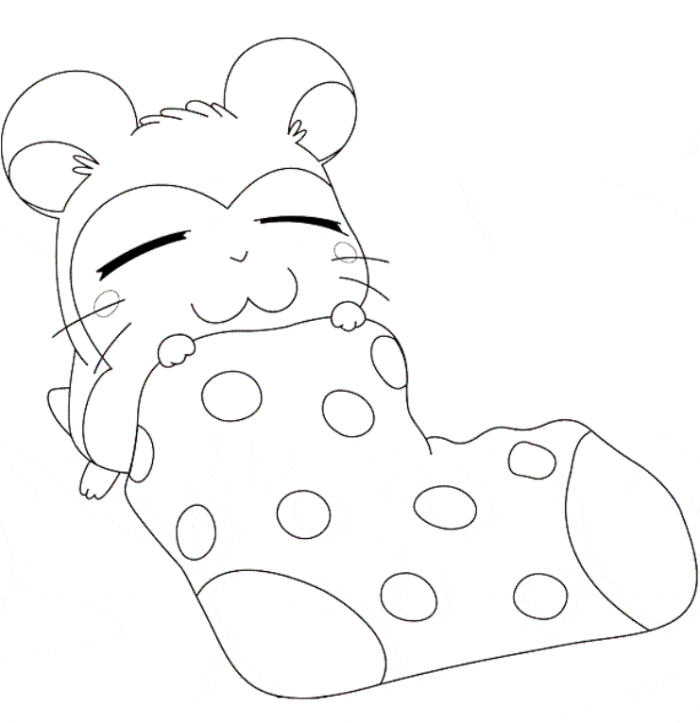 Cute Hamster To Printable Coloring Page