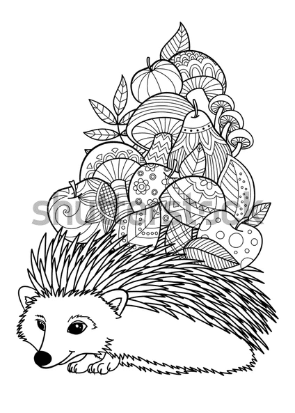 Cute Hedgehog And Fruits Coloring Page