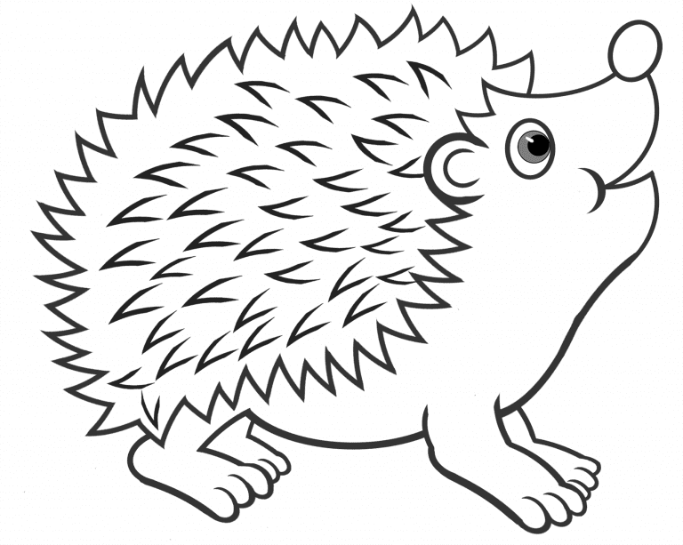 Cute Hedgehog Coloring Pages Coloring Page