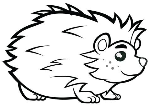 Cute Hedgehog Cute Coloring Page