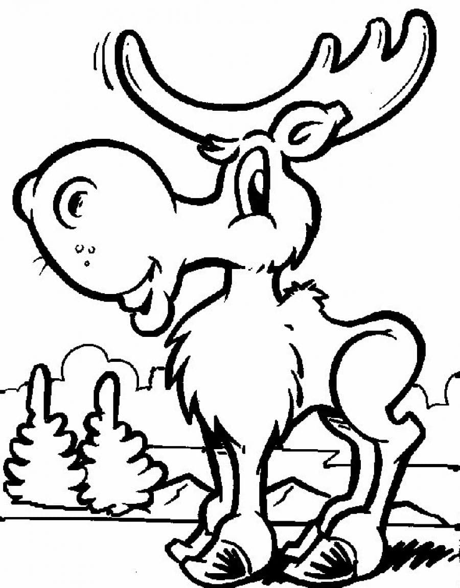 Cute Moose Coloring Free Coloring Page
