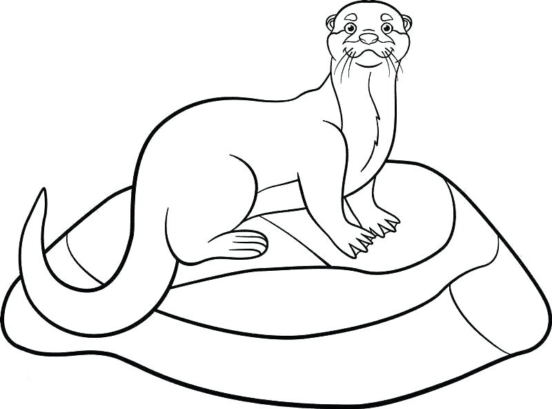 Cute Otter Free Printable Coloring Page