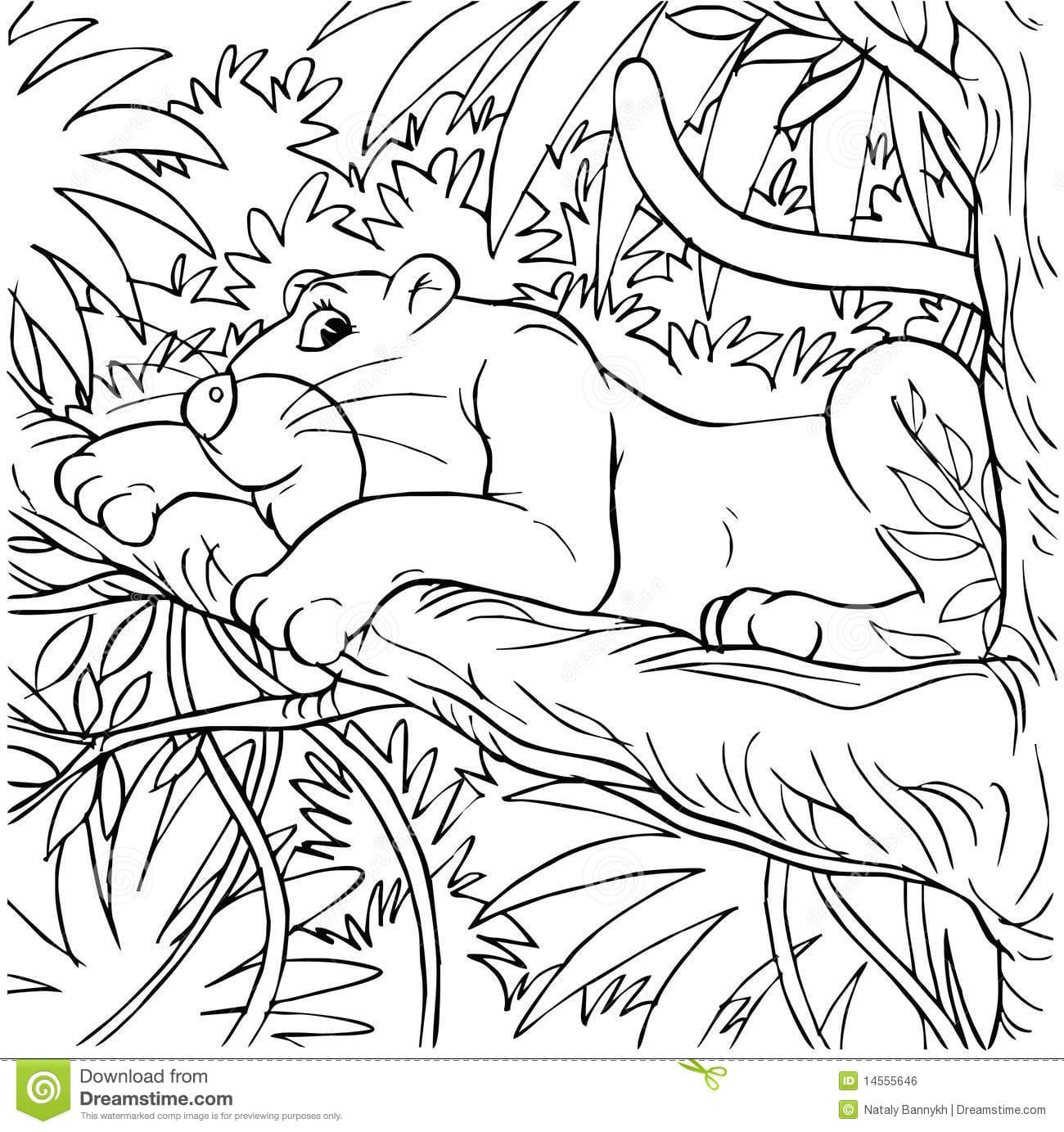 Cute Panther Free Coloring Page