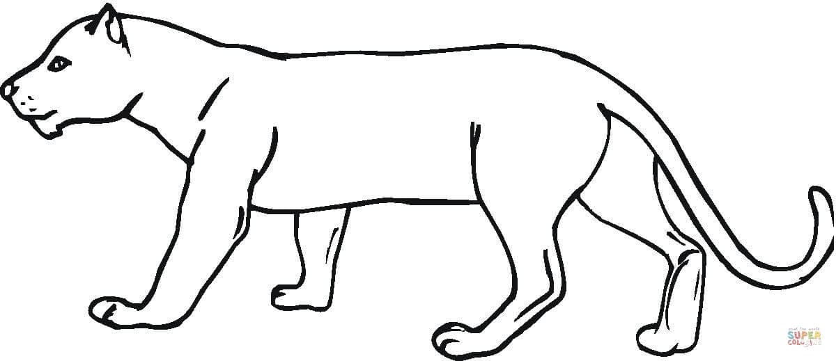 Cute Panther Smiles Free Coloring Page