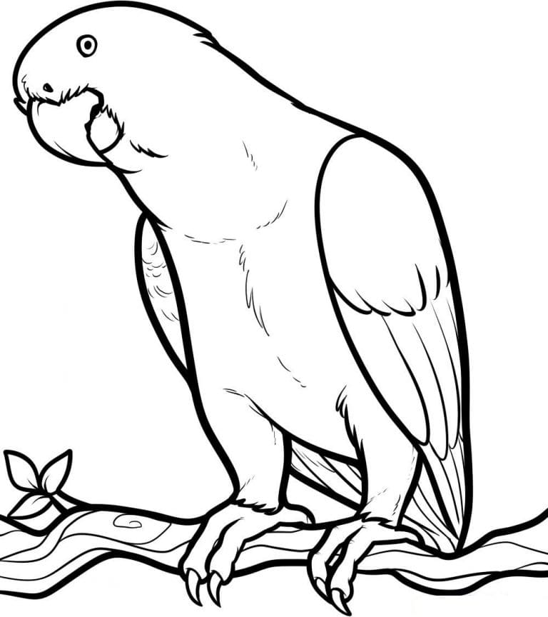 Cute Parrot Free Printable Coloring Page