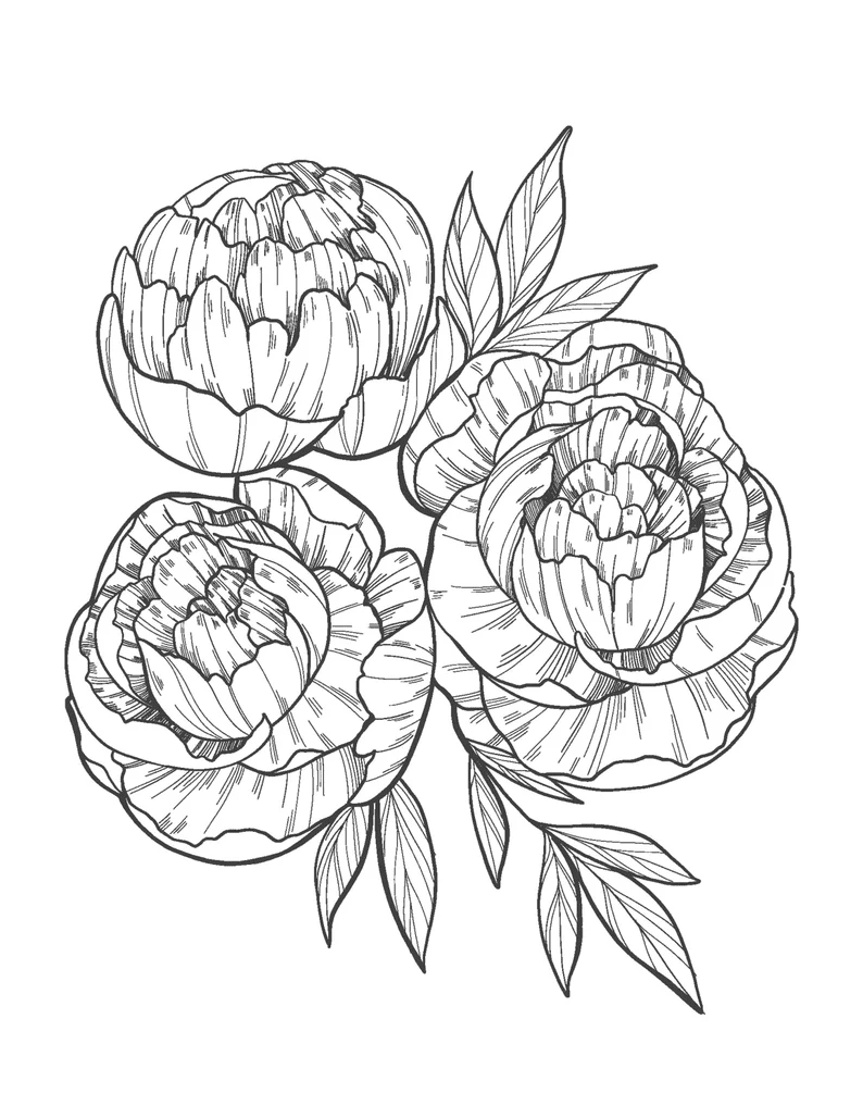 Cute Peony Picture Free Printable Coloring Page