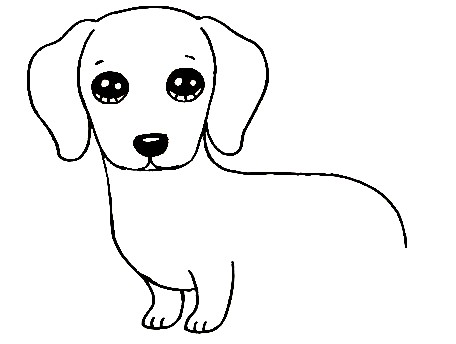 Dachshund-Drawing-4