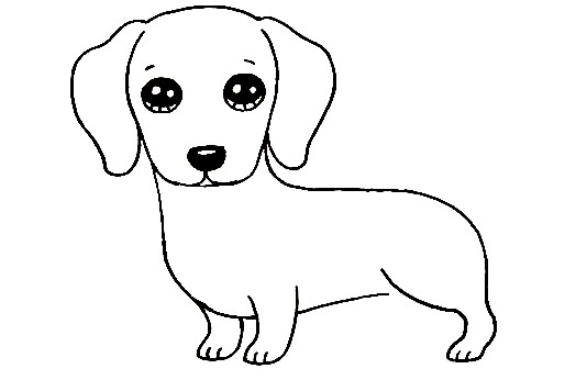 Dachshund-Drawing-5