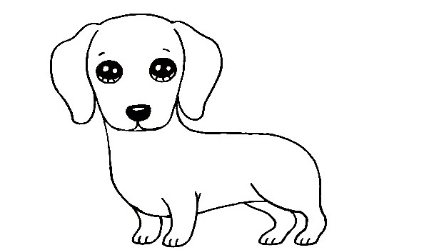 Dachshund-Drawing-6