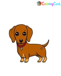 8 Simple Steps To Create A Lovely Dachshund Drawing – How To Draw A Dachshund Coloring Page