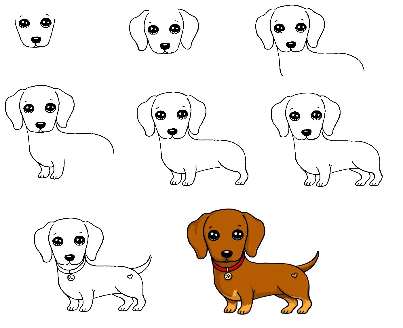 Dachshund Drawing