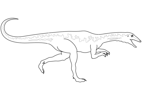 Dinosaur Velociraptor Image Free Printable Coloring Page