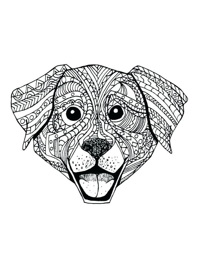 Dog Animal Coloring Pages for Adults Coloring Page
