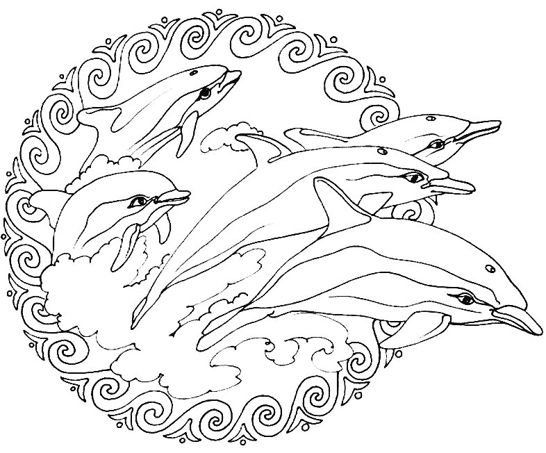 Dolphin Animal Mandala Coloring Pages Coloring Page