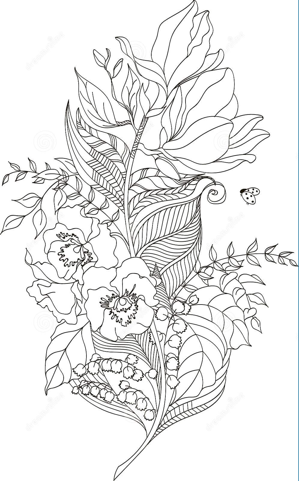 Drawing Flower Feather With Magnolia Coloring Page