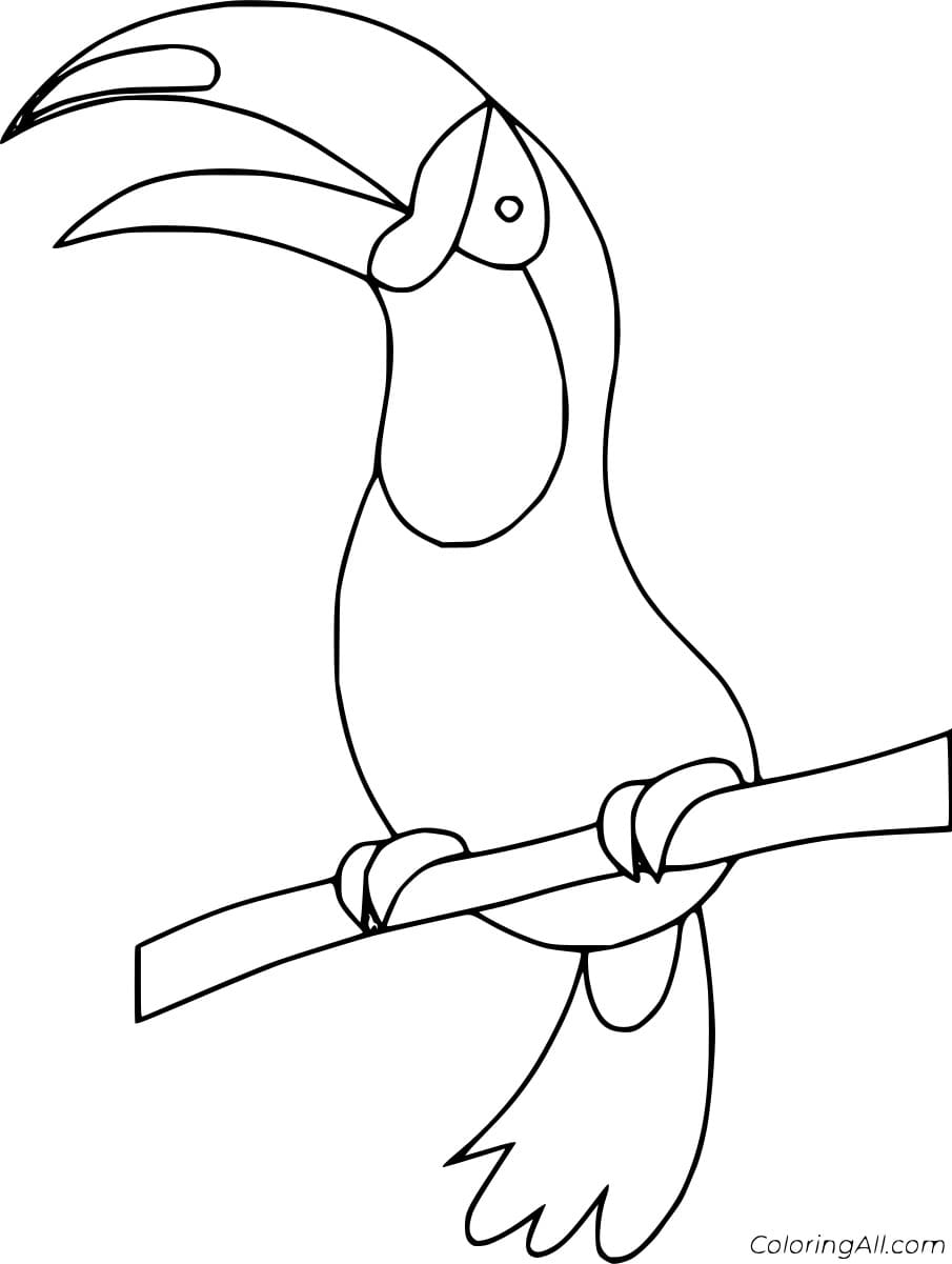 Easy Beautiful Toucan Free Printable Coloring Page