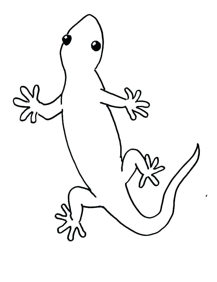 Easy Gecko Coloring Free Coloring Page