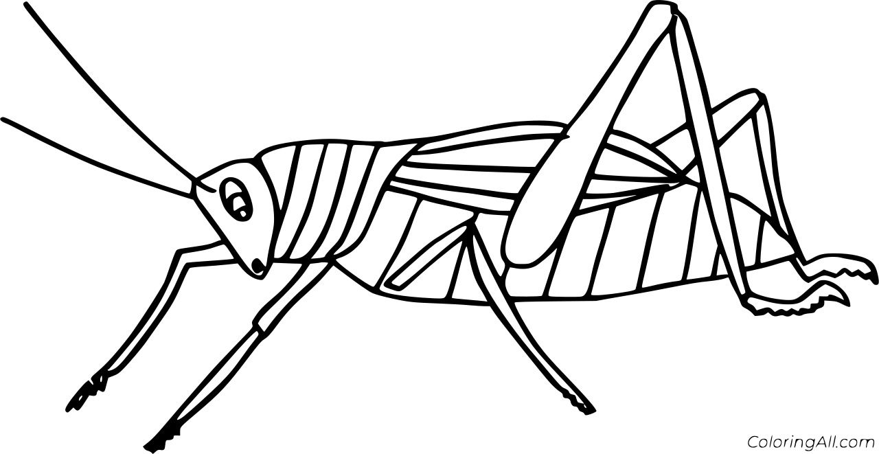 Easy Grasshopper Jumping Coloring Page