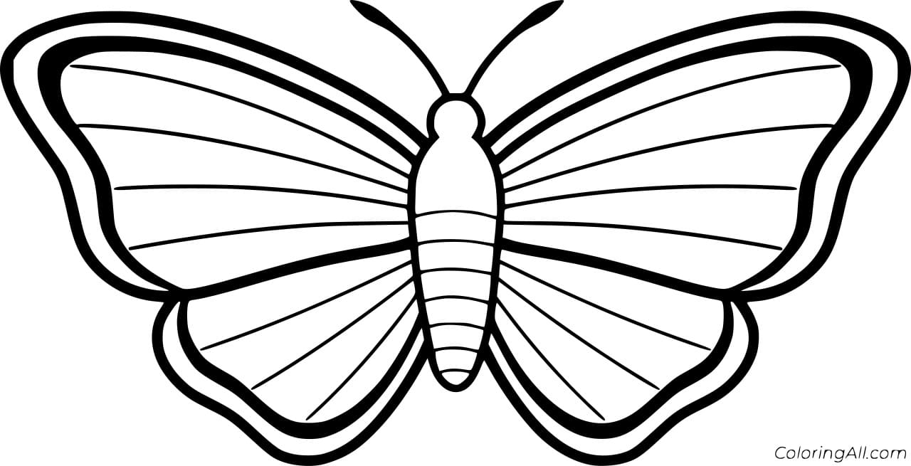 Easy Moth Free Coloring Page
