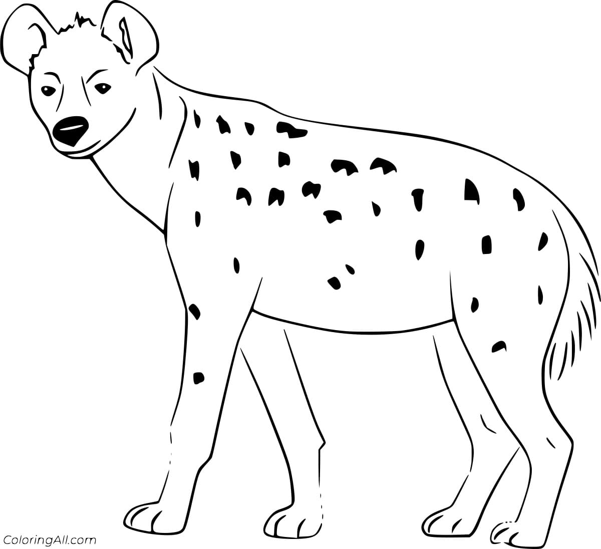 Easy Realistic Hyena Free Coloring Page