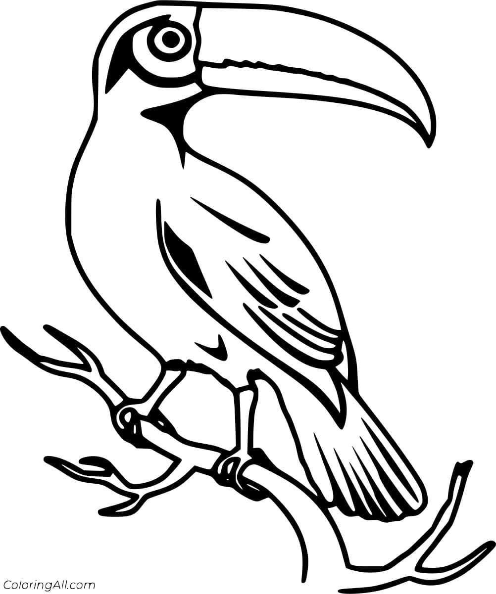 Easy Realistic Toucan To Print Coloring Page