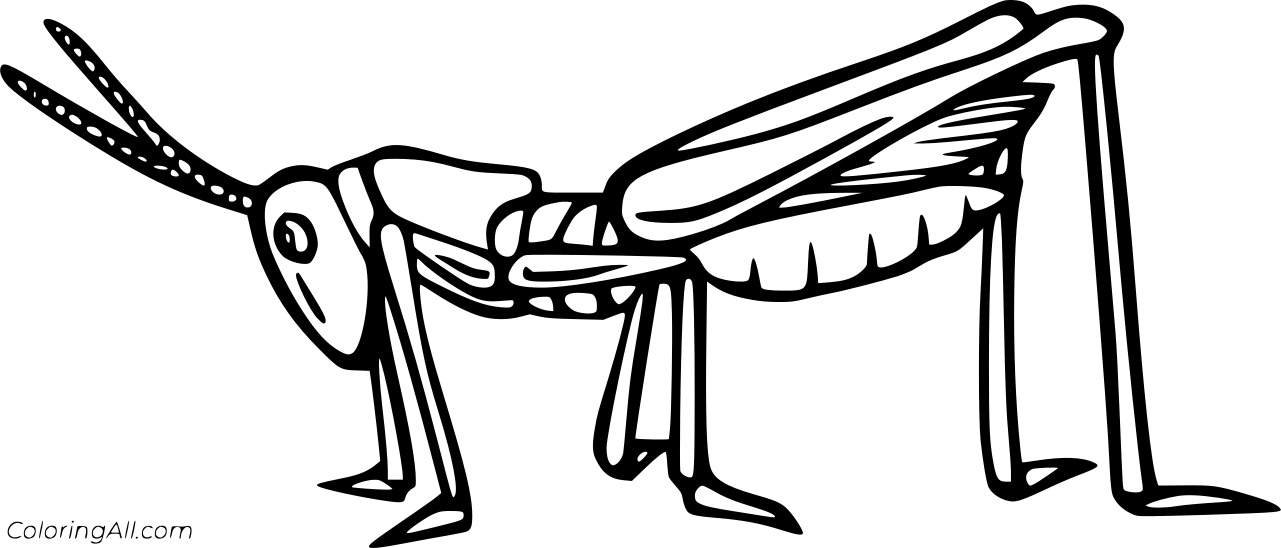 Easy Simple Grasshopper Coloring Page