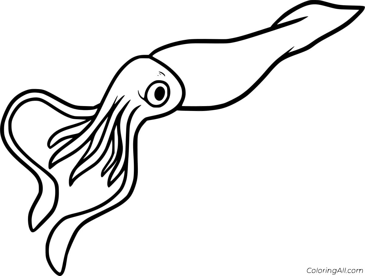 Easy Squid Free Printable Coloring Page