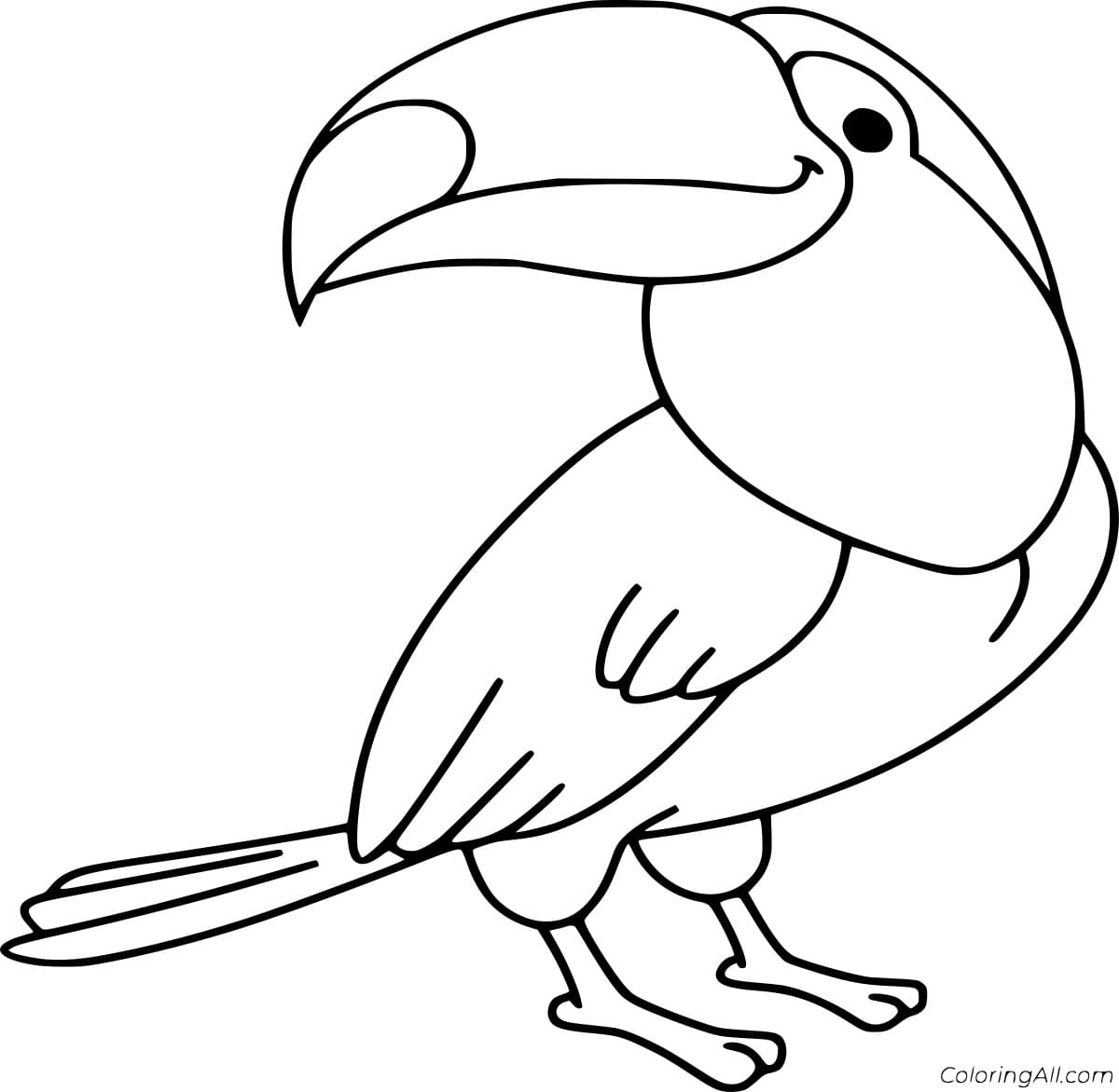 Easy Toucan Image Coloring Page