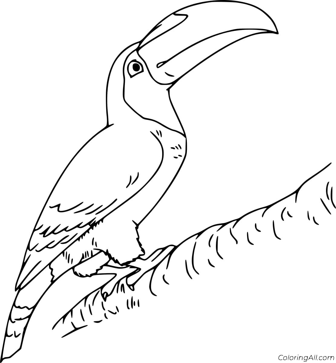 Emerald Toucanet Free Printable Coloring Page