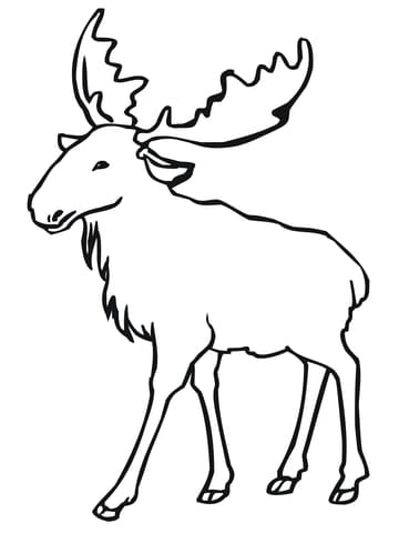 Eurasian Elk Free Coloring Page