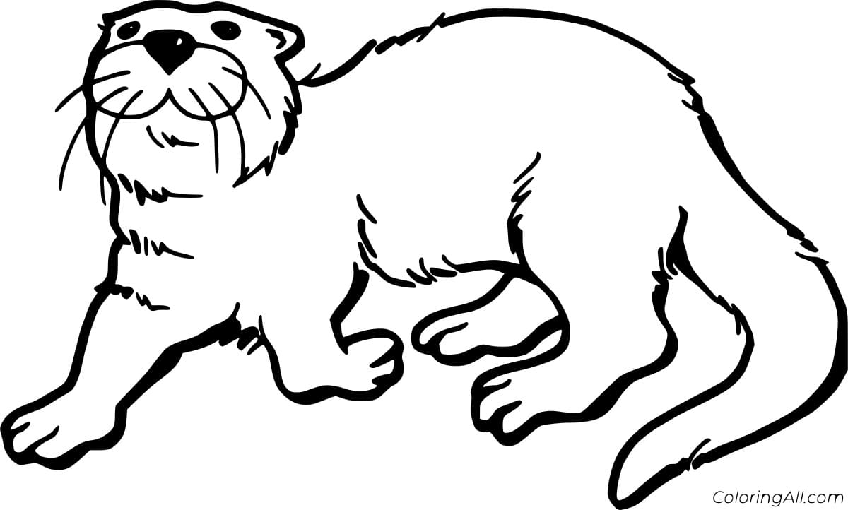 Eurasian Otter Image Free Coloring Page