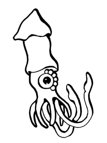European Squid Free Printable Coloring Page
