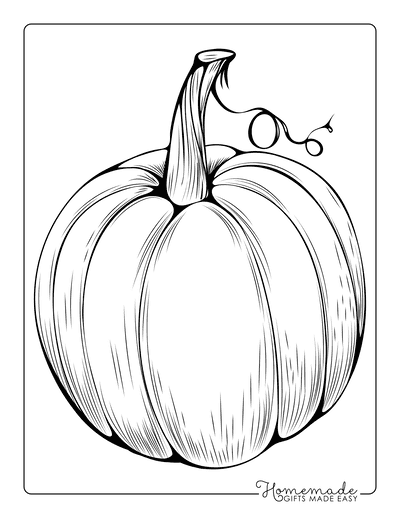 Fall Pumpkin Coloring Sheet Coloring Page