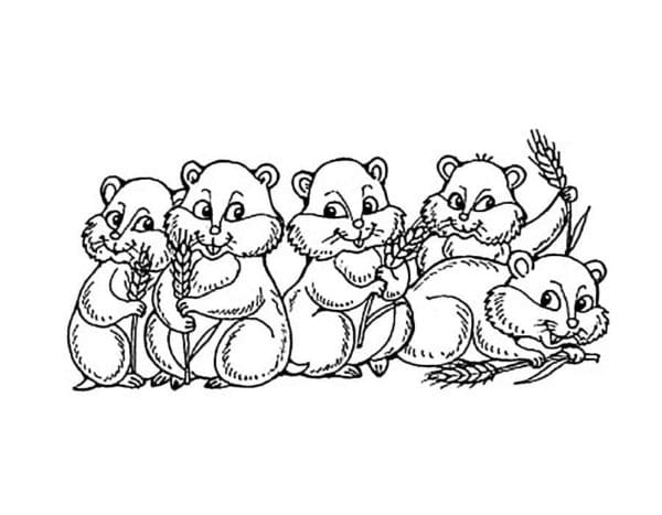 Family Of Rodents In The Field Coloring Page