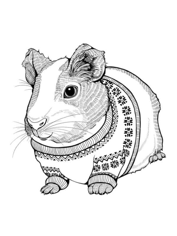Favorite Pet In A Warm Sweater Coloring Page